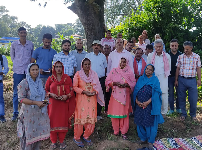 Value Addition & Processing